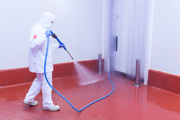 Best Winterizing Services  in Delta, CO